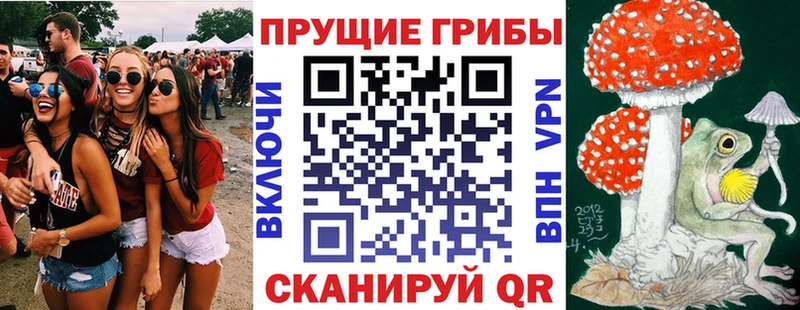 mega сайт  Белая Холуница  Псилоцибиновые грибы Psilocybine cubensis 